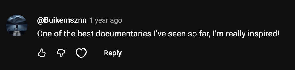 Audience review screenshot
